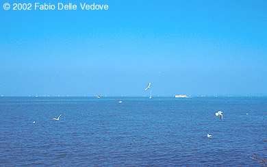 Zum Vergrößern klicken - Blick von der Seepromenade auf den Bodensee (Rorschach, September 2002).